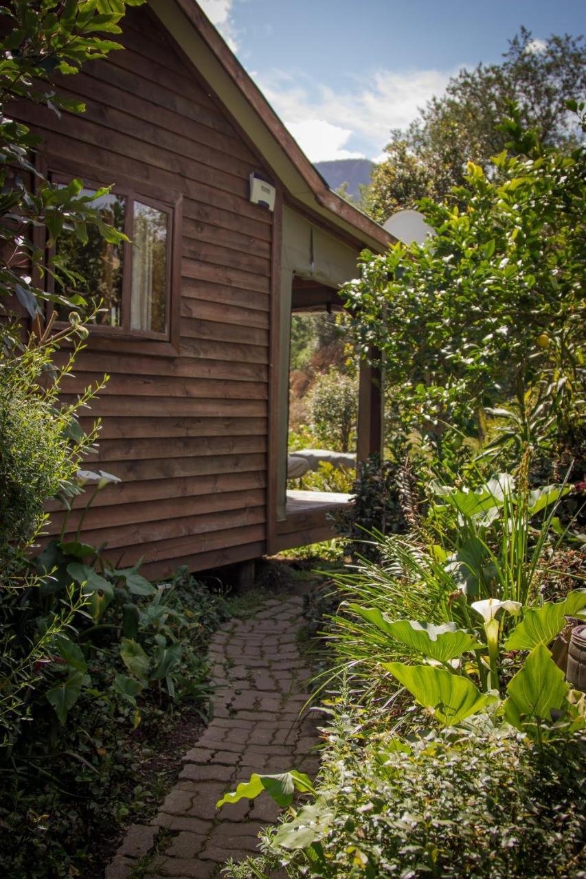 Pear Tree Cottage ストームス・リバー エクステリア 写真