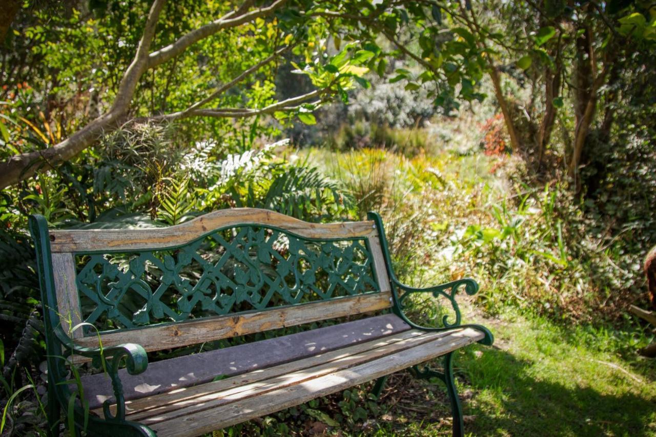 Pear Tree Cottage ストームス・リバー エクステリア 写真